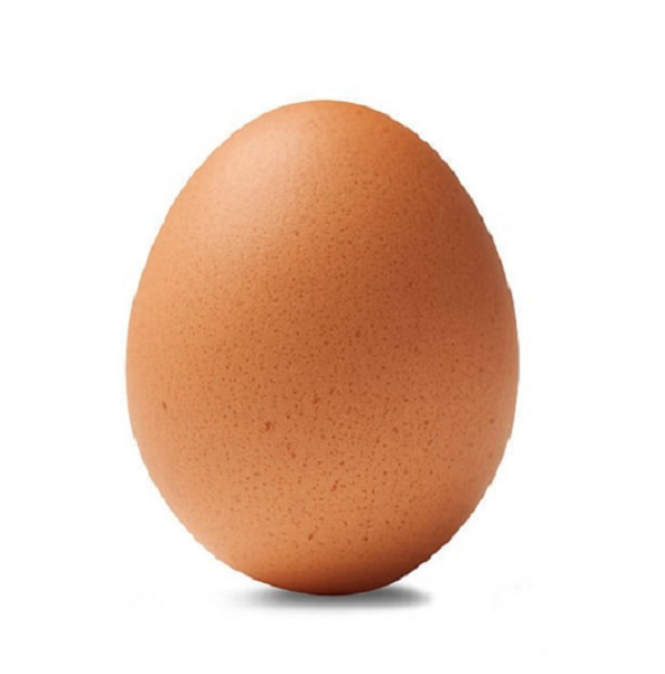 Brown Egg