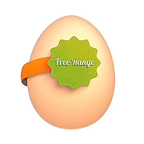 Free Range Egg